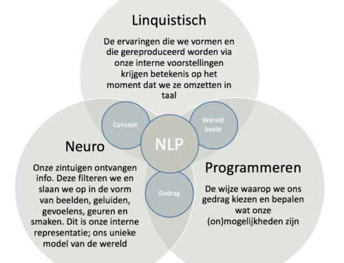 Paardencoaching en NLP