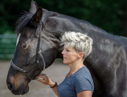 Hoe Bente paardencoaching heeft ervaren..
