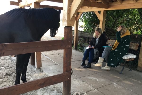 Paardenoaching - Groepen - Mens & Paard
