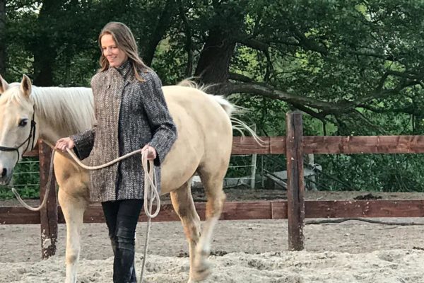 Paardenoaching - Groepen - Mens & Paard