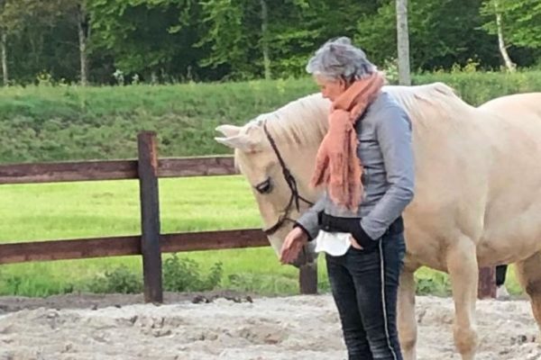 Paardenoaching - Groepen - Mens & Paard